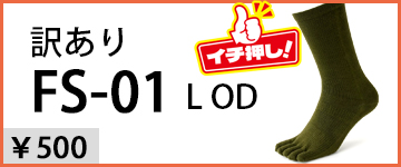 FS-01訳あり品
