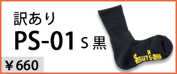 PS-01訳あり品