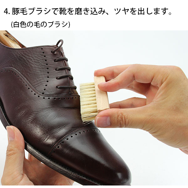 コロンブススターターセット