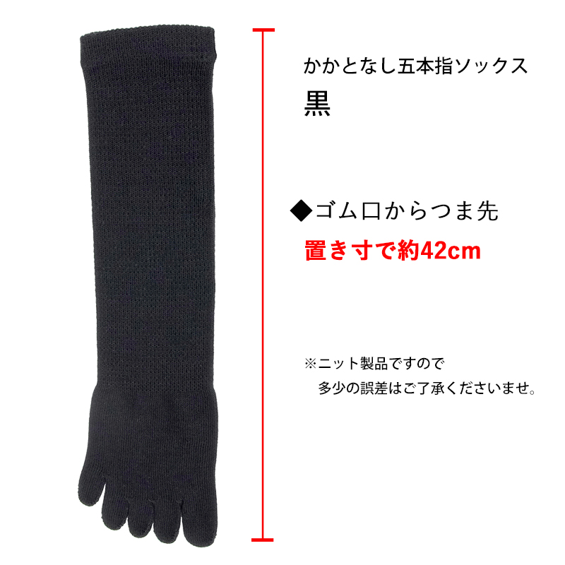 かかとなし五本指ソックス