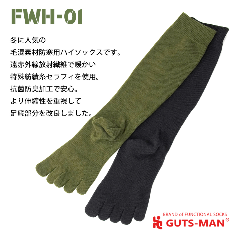 FWH-01