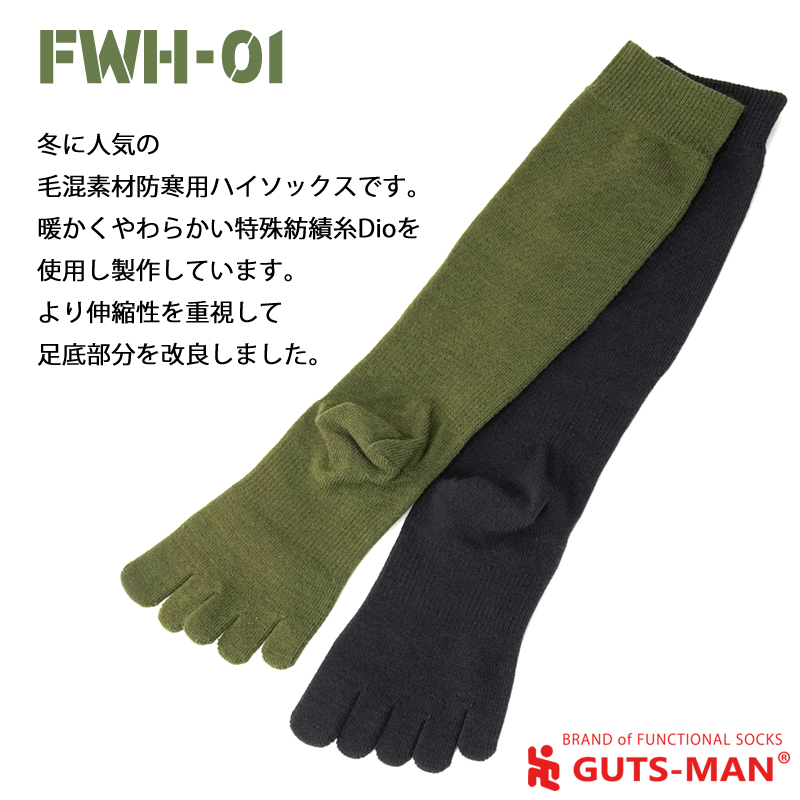 FWH-01