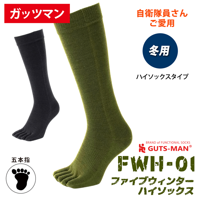 FWH-01