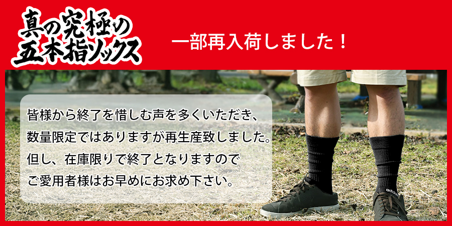 真の究極の五本指ソックス
