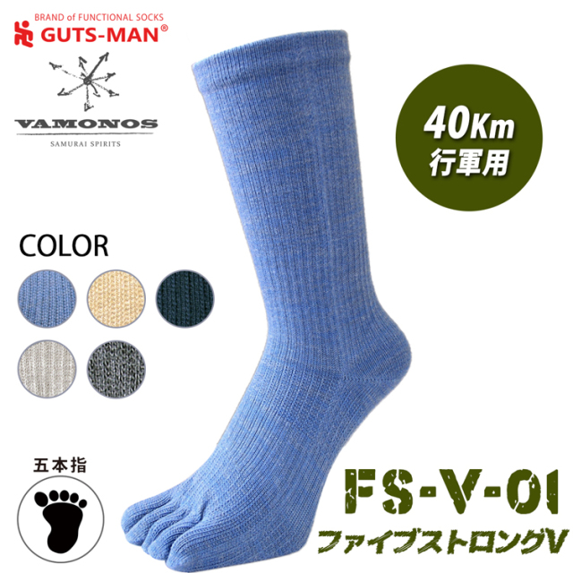 FS-V-01
