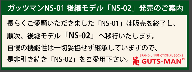 NS-02リンク