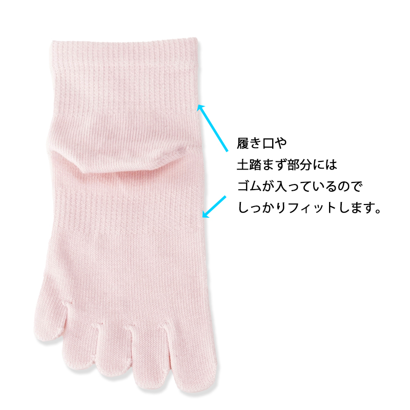 夏の綿の五本指ソックス